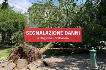 Segnalazione datti