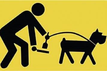Immagine deiezioni animali Immagine deiezioni animali