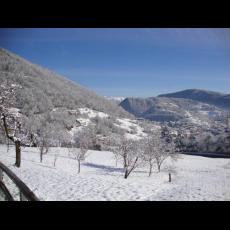 Polaveno innevato