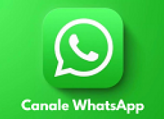 Canale WhatsApp Polaveno