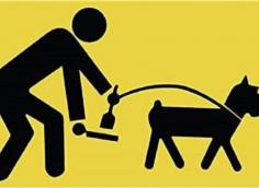 Ordinanza deiezioni animali